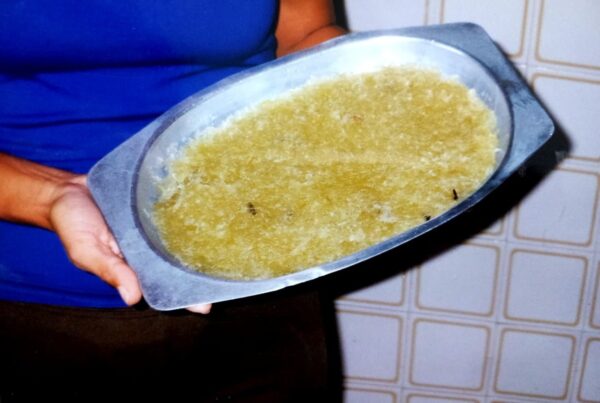 doce do cacto cabeça de frade doce do cacto cabeça de frade