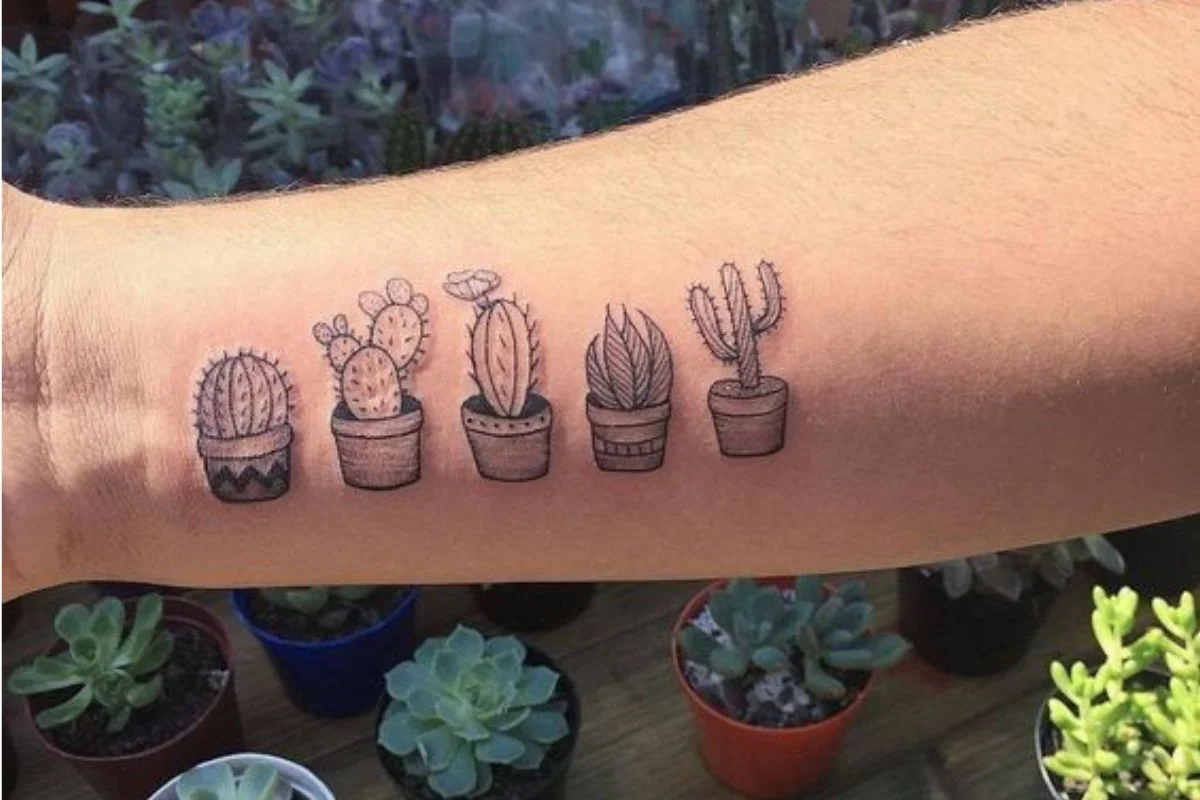 Tatuagem de cactos