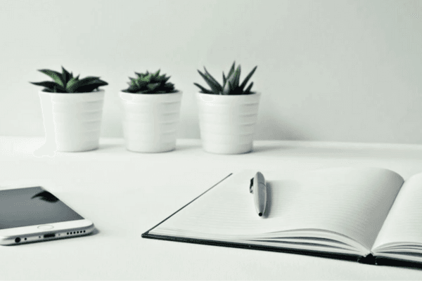 cacto no escritório