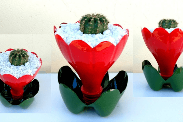 cacto em vaso reciclado