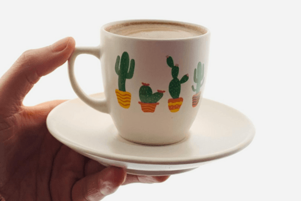 cacto na xícara