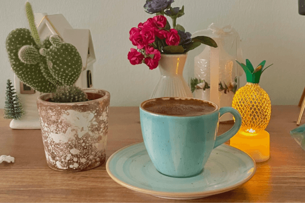 cacto e prosperidade