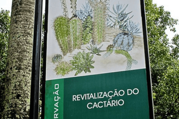 cactário